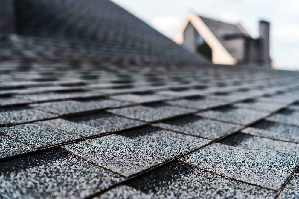 premium asphalt shingles